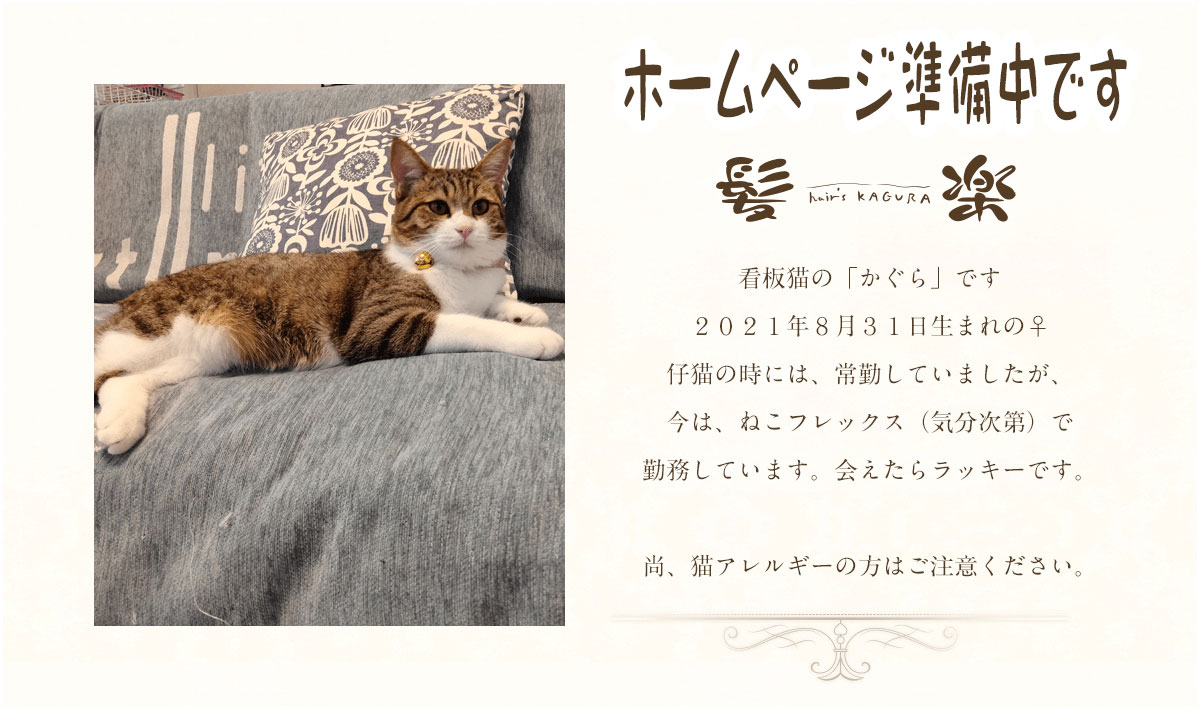 ホームページ準備中です